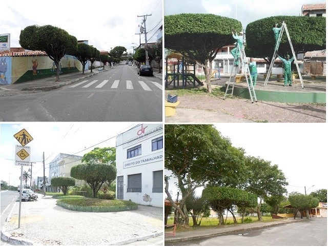 Qualidade dos serviço dispensado pela prefeitura, com valores ínfimos, para abrir licitação com valores exorbitantes e ainda sem qualquer efetivo resultado até o presente momento, como as imagens denunciam (fotos CFF)
