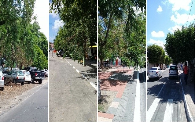 Estado de manutenção dos vegetais no centro da cidade, denunciado por matéria do CFF em 07 de abril passado Estado de manutenção dos vegetais no centro da cidade, denunciado por matéria do CFF em 07 de abril passado