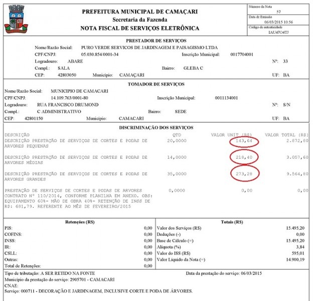 A prefeitura não explica porque cancelou um contrato com poda a R$ 273, vigente por ainda mais três anos, para lançar uma licitação com poda de árvore do mesmo porte a R$ 2.029 (Dois mil e vinte e nove reais - e ainda deixa as árvores da cidade nesse estado (Foto: Print | Arquivo)