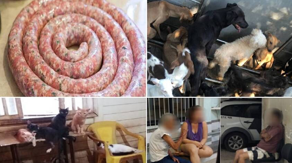 Três suspeitos foram detidos. Um idoso de 66 anos; a mulher dele, de 62 anos; e a filha, de 27 anos (Foto: Reprodução)
