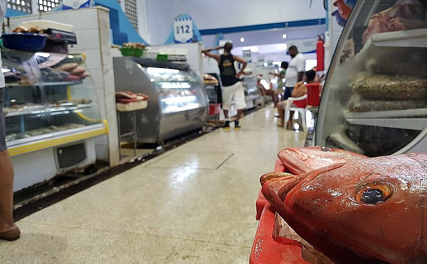 A Bahia Pesca estima que cerca de 16 mil pescadores foram afetados de forma direta ou indireta pelos resíduos (Foto: Reprodução)