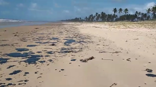 Manchas de óleo que atingem mar no Nordeste chegam na Bahia (Foto: João Arthur | Tamar)