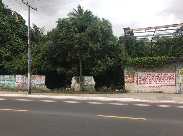 Terreno baldio na Avenida Radial A, onde o corpo da vítima foi encontrado (Foto: Reprodução)