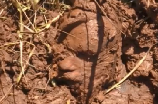 Vídeo foi gravado por funcionários da Vale (Foto: Reprodução | Record TV Minas)