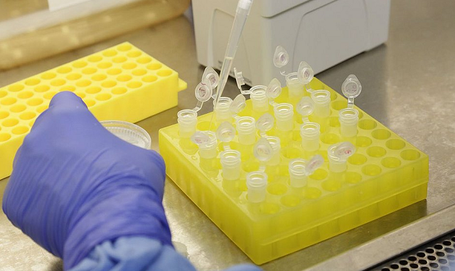 A esmagadora maioria dos casos ocorreu na China, onde a epidemia foi detectada no final do ano (Foto: Josué Damascena | Divulgação)