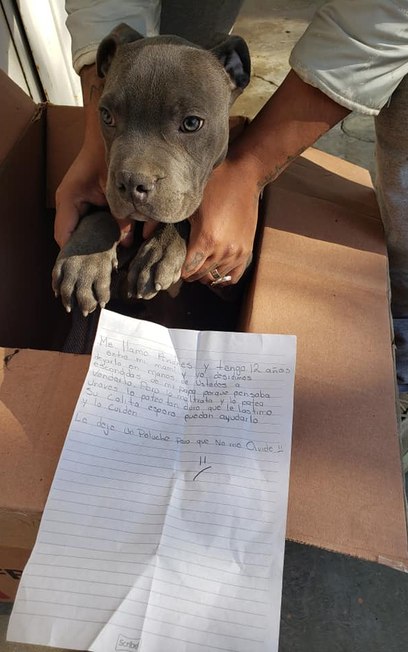 'Aqui tem um bichinho de pelúcia para que ele não se esqueça de mim', escreveu Andrés ao abrir mão do cão após presenciar o pai maltratando o animal - Reprodução/ Facebook