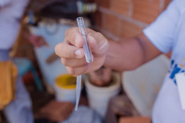 Os casos de Chikungunya, neste ano, já superaram o total registrado em todo o ano de 2019 (Foto: Reprodução)