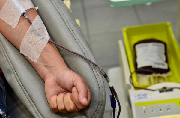 Sete dos 11 ministros do STF votaram pela suspensão das normas atuais, que exigem que homens homossexuais só podem doar sangue um ano após sua última relação sexual (Foto: Reprodução)