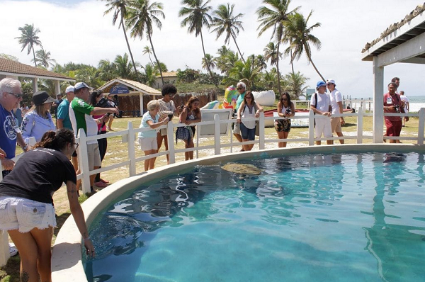 Centro de Visitantes criado em 1992, promove ações educativas, recebendo uma quantidade aproximada de 3 mil turistas por mês durante o período do verão (Foto: Reprodução)