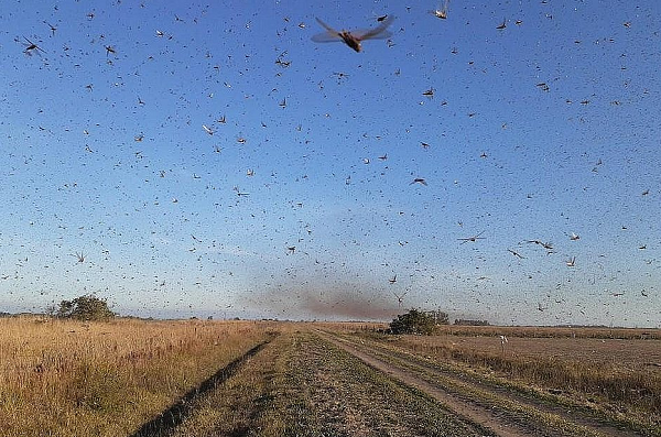 Atualmente a nuvem está entre a Argentina e o Uruguai (Foto: Reprodução)