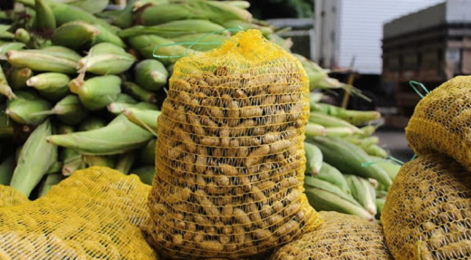 Prefeitura vai realizar, no dia 8 de junho, a compra de mais de 10 toneladas de itens agrícolas comuns do período, como milho, amendoim, laranja, coco seco e aipim (Foto: Reprodução)