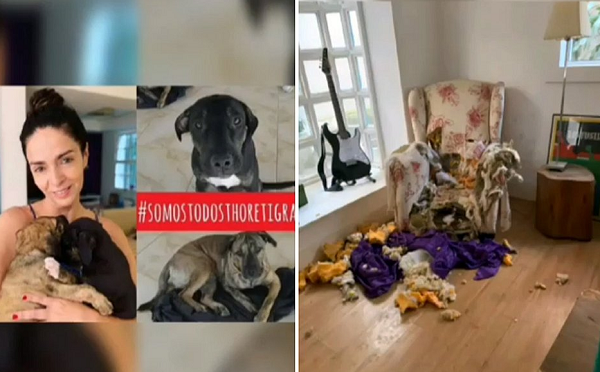 Atriz Claudia Ohana adotou dois cães filhotes em dezembro e devolveu meses depois (Foto: Reprodução)