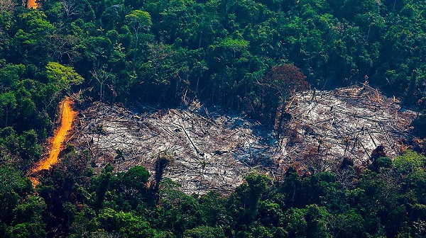 Lubia Vinhas ocupava o cargo de coordenadora-geral de Observação da Terra do Inpe, departamento responsável pelos sistemas Deter e Prodes, que acompanham o desmatamento da Amazônia (Foto: Reprodução)