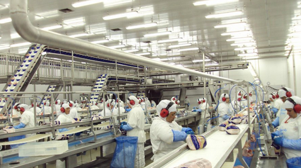As autoridades de saúde de Shenzhen estão rastreando e testando todos os funcionários que podem ter entrado em contato com o produto contaminado (Foto: Reprodução)
