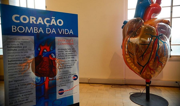 A doença crônica, que atinge tanto homens quanto mulheres, em todas as faixas etárias, é considerada pelos especialistas como uma das condições que mais afeta a saúde do coração (Foto: Reprodução)