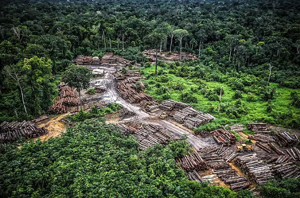 Os alertas para a Amazônia Legal como um todo foram 34,5% superiores aos observados entre agosto de 2019 e julho de 2020 (Foto: Ibama | Divulgação)