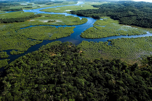 A ação segue até 1º de outubro (Foto: Reprodução)