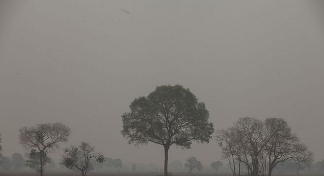 Fumaça encobre o céu na cidade de Poconé (MT) (Foto: Reprodução)