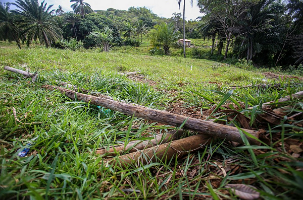 Cercas foram derrubadas após a morte de Cidinho, um dos herdeiros que loteava o terreno (Foto: Tiago Caldas | Correio)