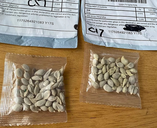 No Brasil, o caso começou quando pessoas que fizeram compras pela web receberam, junto com a encomenda, algumas sementes (Foto: Divulgação)