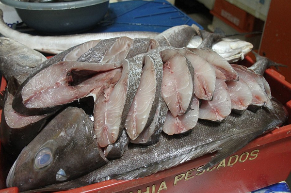 Em ocorrências anteriores, foi comprovado que a doença tinha ligação com a alga que os peixes olho de boi ingeriam (Foto: Reprodução)