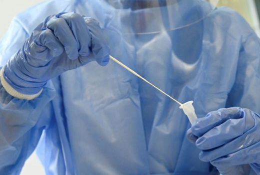 Mutação não é mais letal do que outras cepas do novo coronavírus, mas pode ser mais transmissível (Foto: Reprodução)