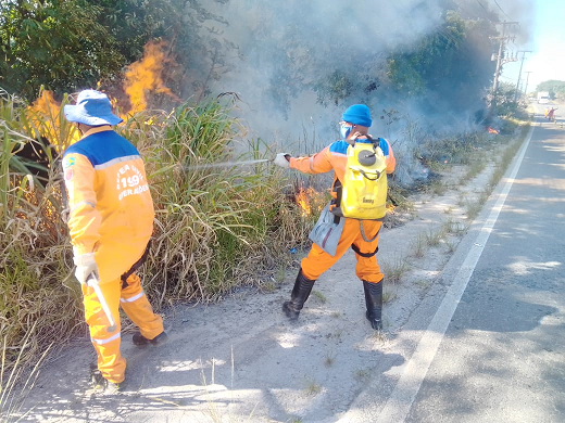Focos de incêndio estão se tornando recorrentes em Camaçari (Foto: Divulgação | Defesa Civil)