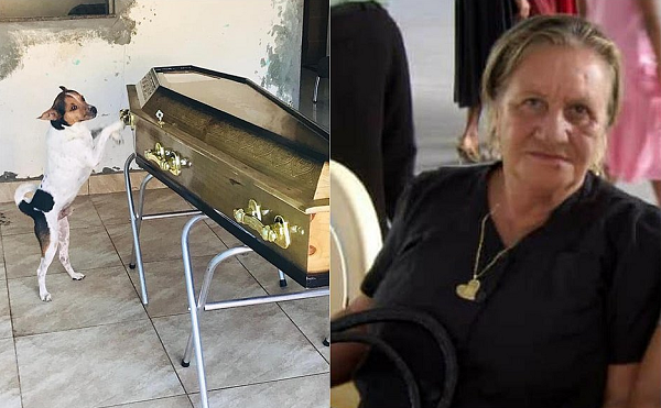'Toy', que estava com Luzinete Lopes Diniz desde que era filhote, chora e acompanha velório da tutora (Foto: Jailson Santos)