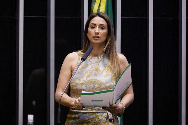 Flávia Arruda (Foto: Luis Macedo | Câmara dos Deputados)