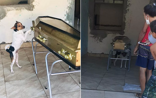 O momento foi de despedida para a família e para o cachorrinho 'Toy' (Foto: Montagem | Redação CFF)