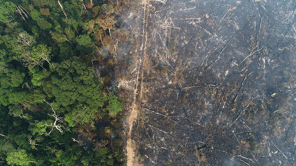Vista aérea da Amazônia após queimadas perto de Apuí, no Amazonas (Foto: REUTERS | Ueslei Marcelino)