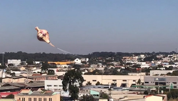 Balão de ar quente de aproximadamente 15 metros pegou fogo ainda no ar e caiu sobre o telhado de um prédio comercial (Foto: Marcia santos/SESP)