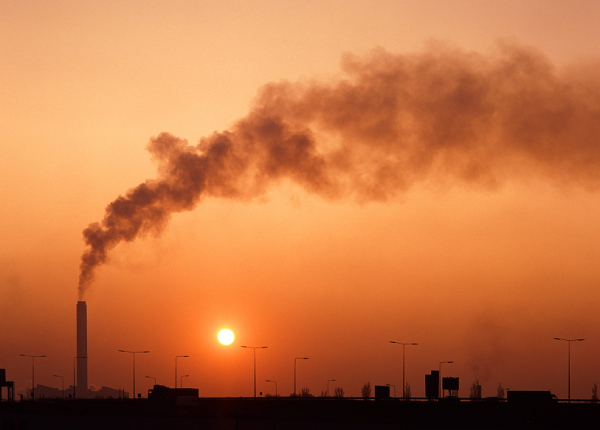 O aquecimento global causa a escassez de alimentos, o deslocamento de populações e a extinção de espécies (Foto: Roger G Howard)