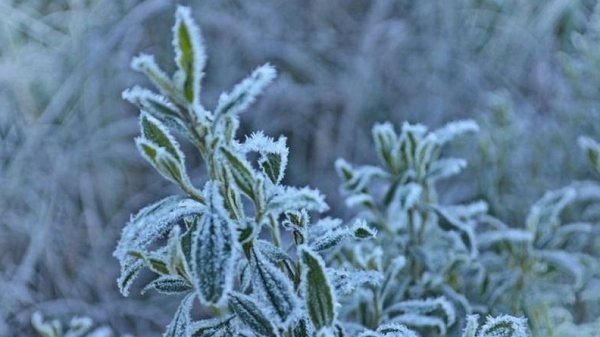 Mudança climática aumenta frequência de eventos extremos, inclusive frio (Foto: Getty Images)