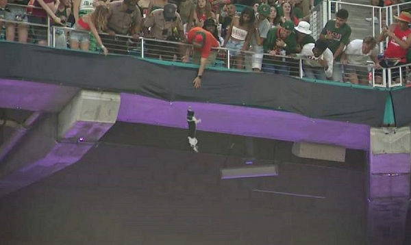 Torcida se mobilizou e conseguiu resgatar o animal (Foto: Reprodução)