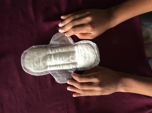 Ações acontecem depois que o presidente Jair Bolsonaro vetou a distribuição dos itens para mulheres de baixa renda (Foto: Divulgação)