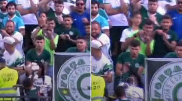 Mulher assistia a partida de futebol na arquibancada, próxima ao local do gol, quando foi atingida (Foto: Reprodução)