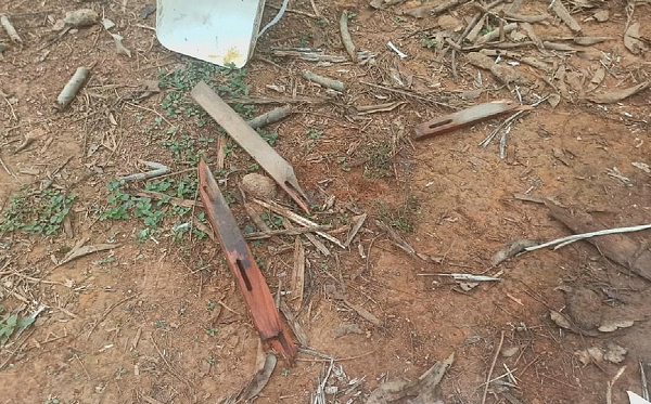De acordo com o delegado que investiga o caso, eles cometeram o crime por acharem que o pai matou a mãe deles (Foto: Reprodução)
