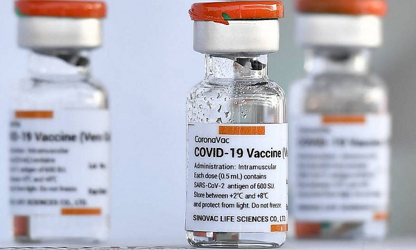 Apresentação técnica da agência demonstrou a segurança e efetividade da aplicação de duas doses da Coronavac, com intervalo de 28 dias, na população pediátrica (Foto: Reprodução)