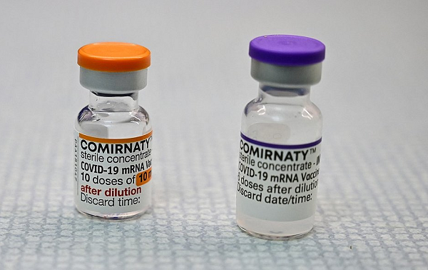 Esquema vacinal será com duas doses, com intervalo de oito semanas entre as aplicações (Foto: Reprodução)