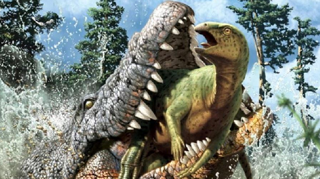 Imagem ilustrada do Confractosuchus sauroktonos caçando dinossauro (Foto: Divulgação/Australian Age of Dinosaurs Museum)