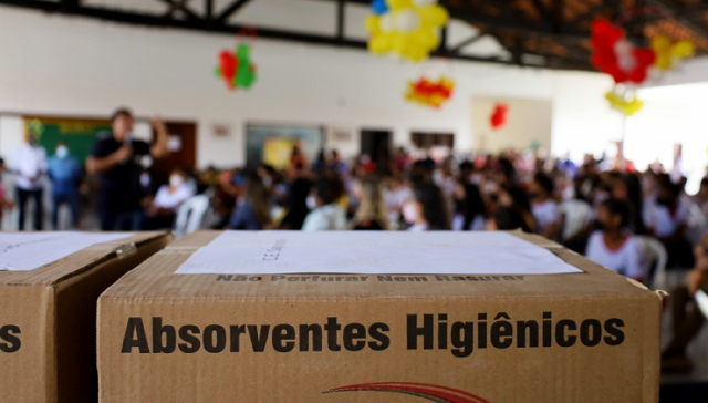 O projeto, cujo veto foi derrubado nesta quinta, visa promover uma estratégia de saúde e atenção à higiene, combatendo a precariedade menstrual (Foto: Reprodução)