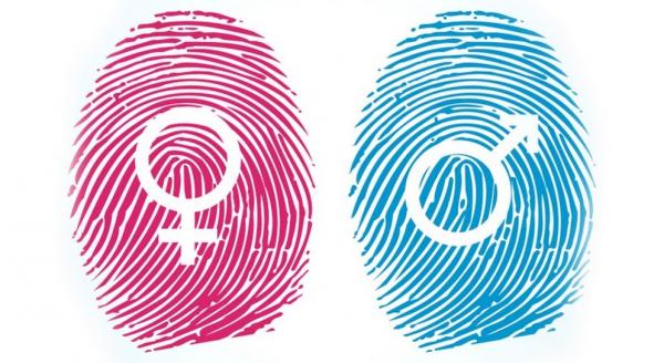 [...]Dado o condicionamento suficiente, qualquer um de nós pode ser convencido de que nos identificamos mais como o sexo oposto