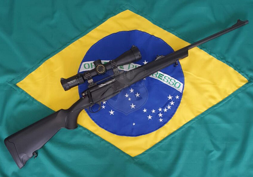 Em menos de três anos, Brasil registrou quase 438 mil novos atiradores (Foto: Reprodução)