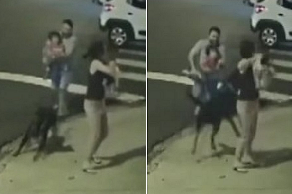Câmeras de segurança flagraram o momento em que o cachorro pula a janela do veículo em movimento e corre na direção da família (Foto: Reprodução)