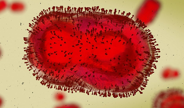 Doença, causada pelo vírus monkeypox, foi detectada em um homem de 27 anos que está no estado de São Paulo (Foto: Shutterstock)