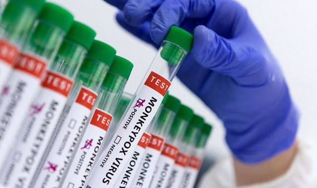 Agência Europeia de Medicamentos declarou que vai usar a vacina da varíola para imunizar as pessoas contra a varíola dos macacos (Foto: Reprodução)