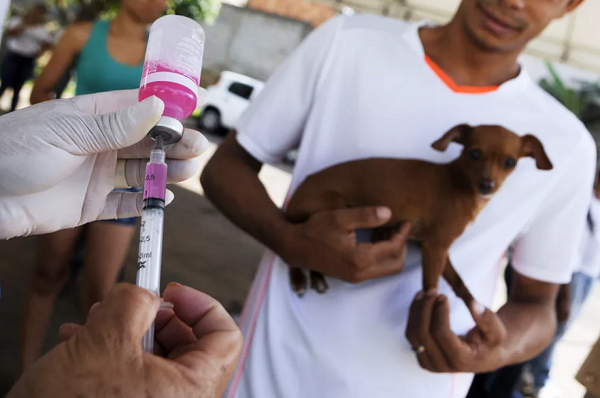 Adolesente estava internado em um hospital da rede particular desde o dia 20 de junho (Foto: Matheus Oliveira/Secretaria de Saúde DF)