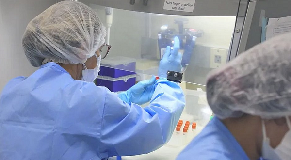 É o segundo óbito registrado no Brasil, o primeiro ocorreu em Minas, em julho (Foto: Reprodução)