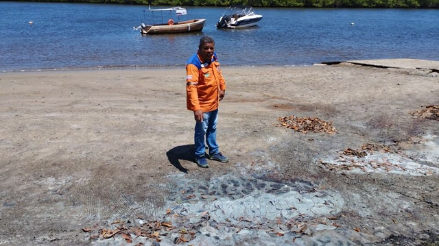 Praias estão liberadas para banho, e órgão responsável disse que toxinas não causam reação na pele (Foto: Divulgação/Prefeitura de Camaçari)